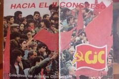hacia-el-II-congreso-de-los-CJC