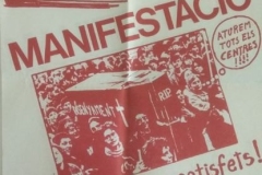 3.03-CartellCEEMC-Lalluitacontinua