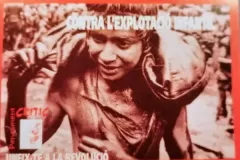 IMG_20240315_194202_resized_20240315_0811005342